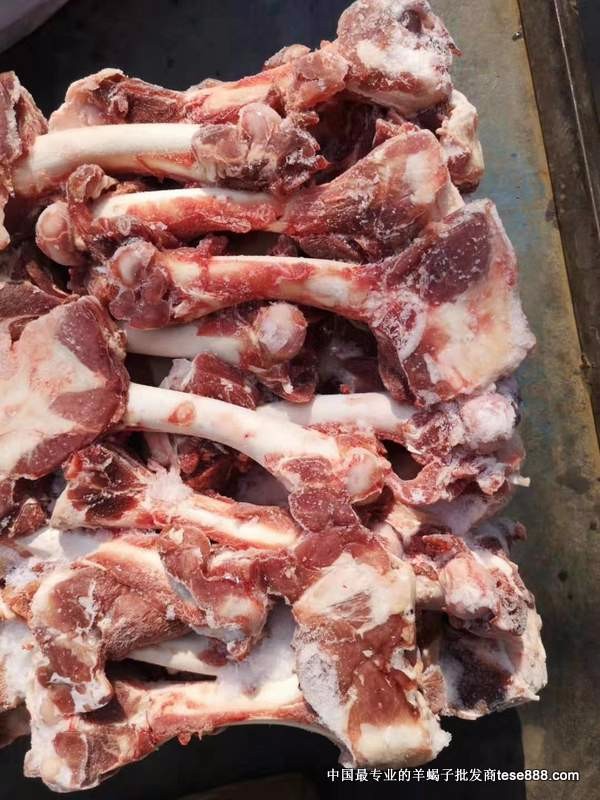 澳洲282厂带肉羔羊棒骨